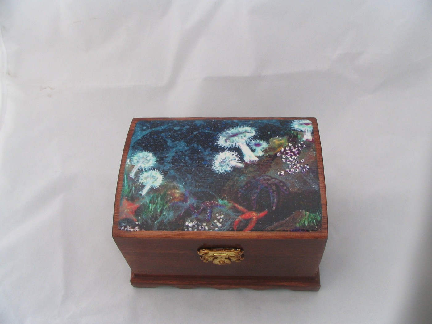 Small hinged wooden box, its lid painted with white plumose anemones, purple and orange sea stars on a dark tidepool floor