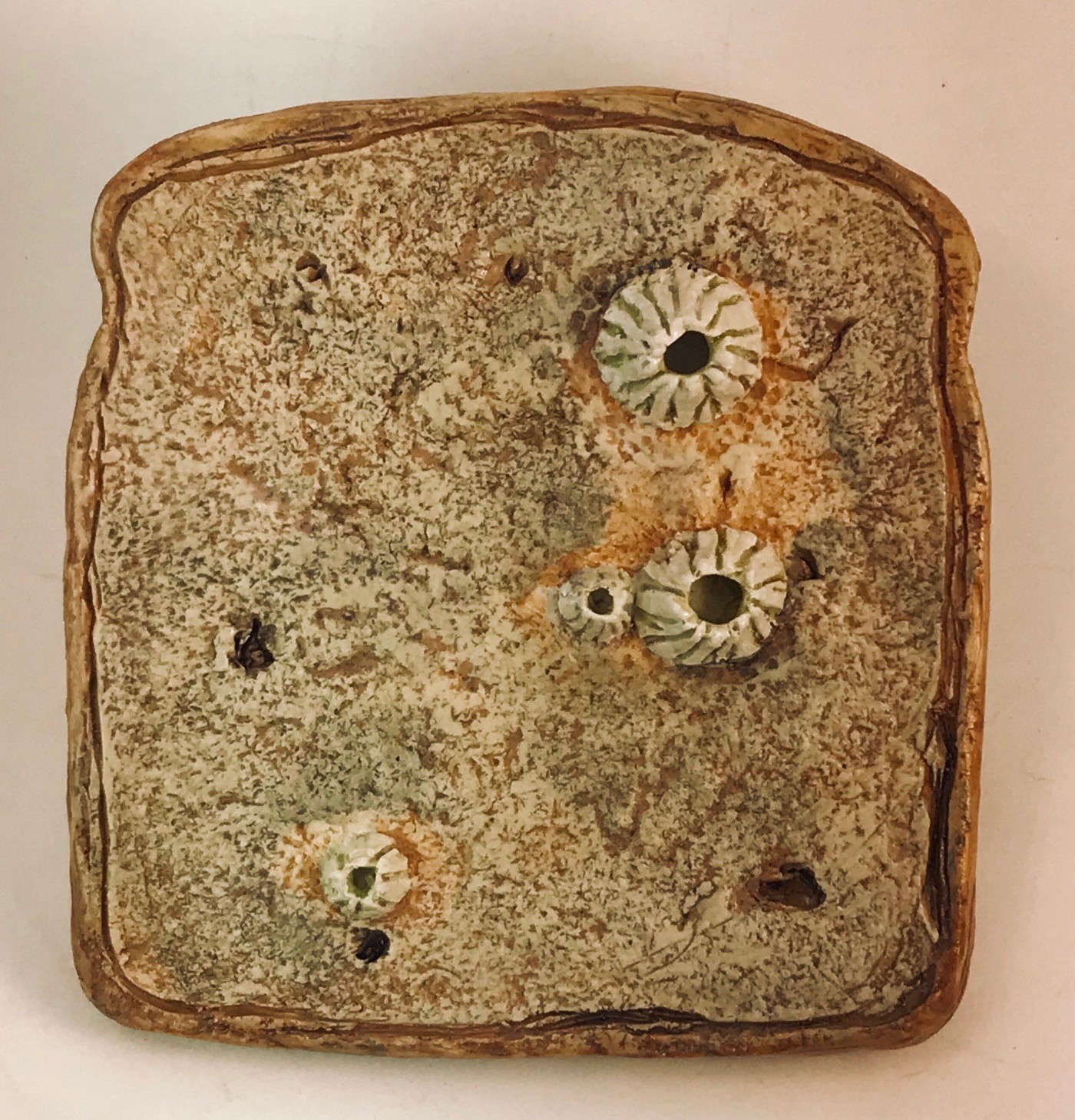 Stoneware slice of toast in speckled grey-green with three white barnacles growing on its surface
