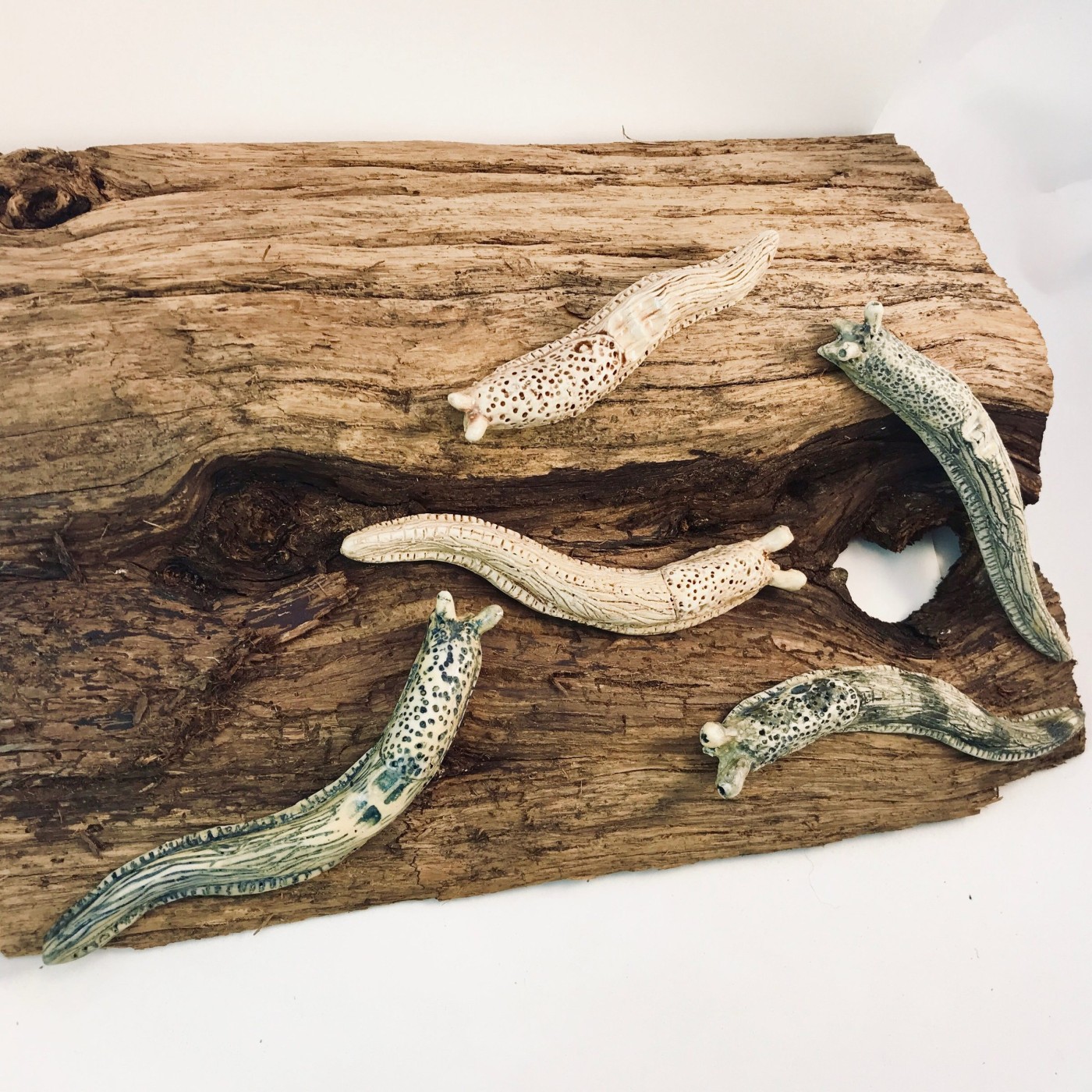 Five porcelain banana slugs, glazed in speckled cream and grey-green, arranged along a weathered slab of driftwood